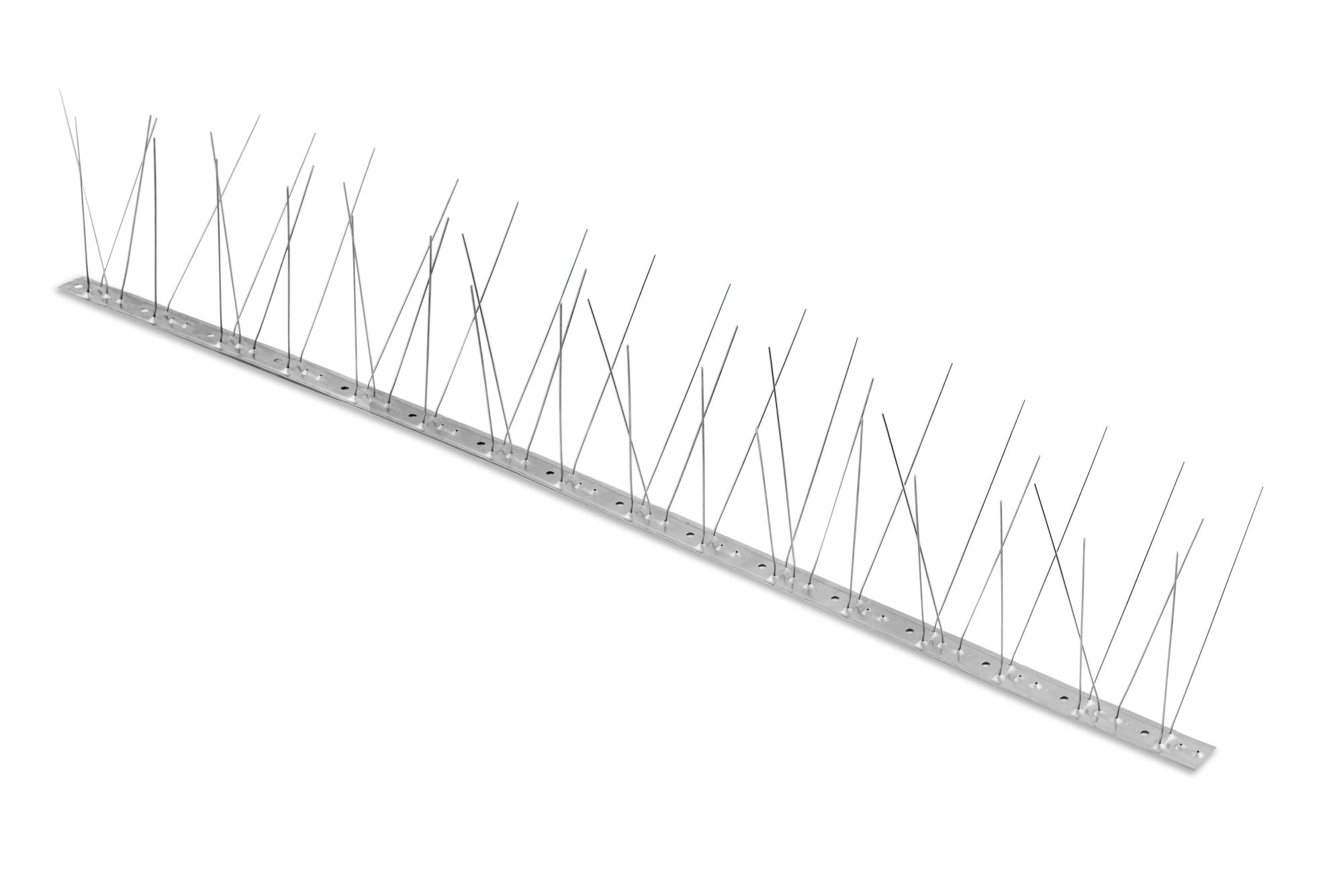 Second Image