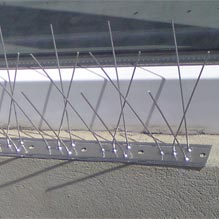 Second Image