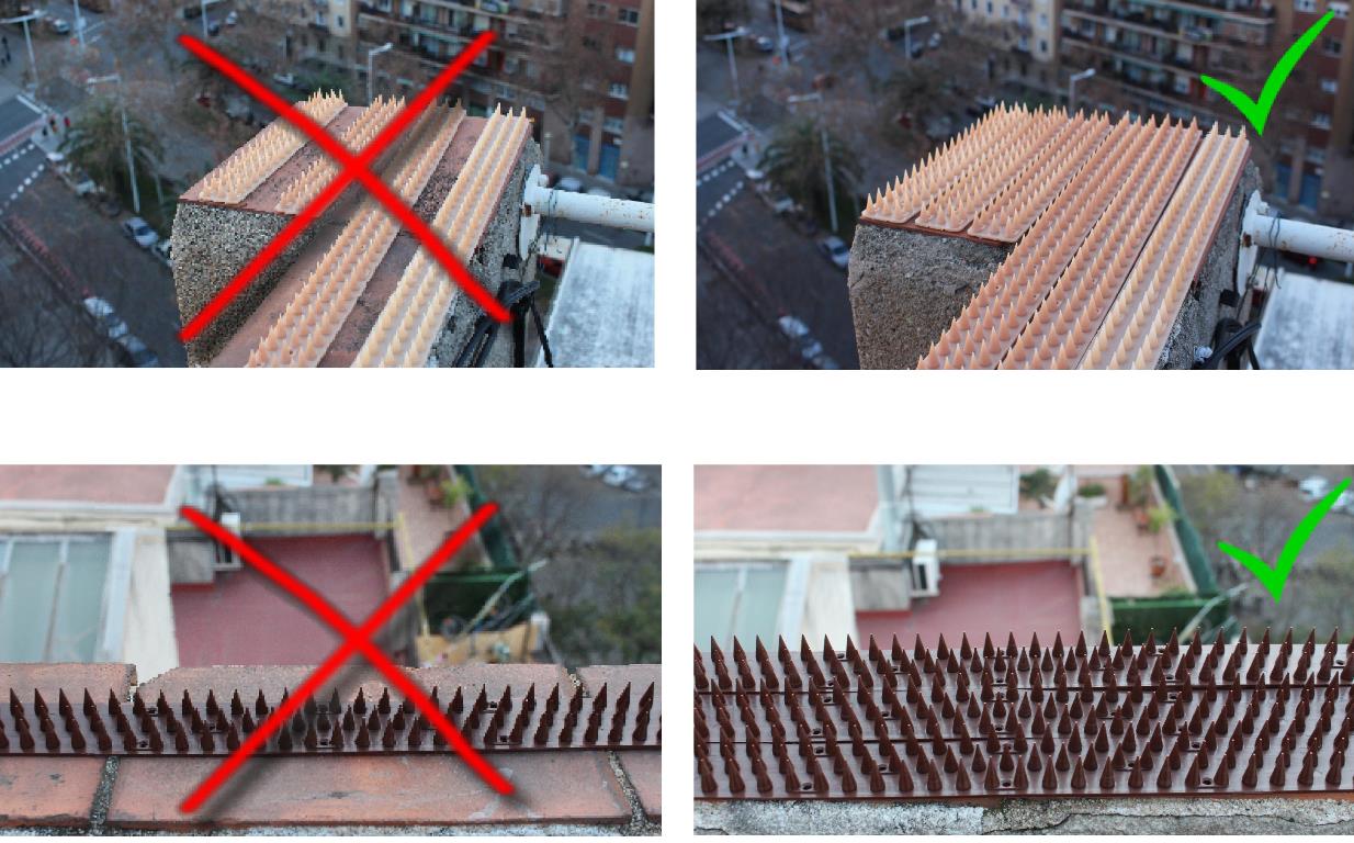 Second Image