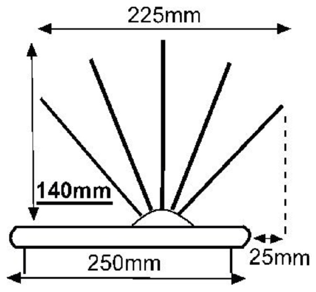 Second Image