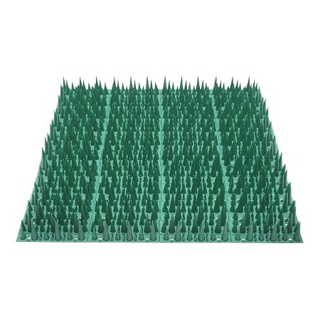Second Image